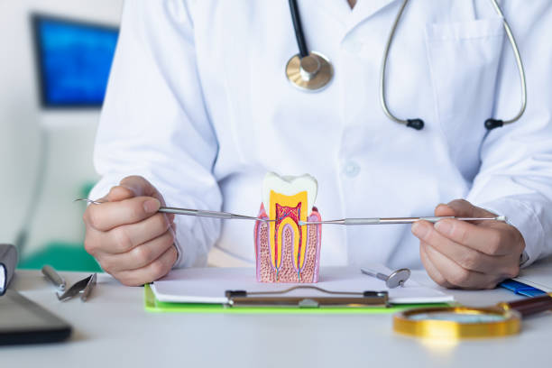 Best Emergency Wisdom Tooth Extraction in Thompson Falls, MT